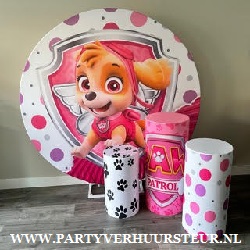 Backdrop Set Paw Patrol Roze €100,00 (Actie)