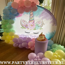 Backdrop Set Unicorn met Ballonslinger