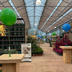 Heliumballonnen 24 inch (61 cm) Pastel €19,50